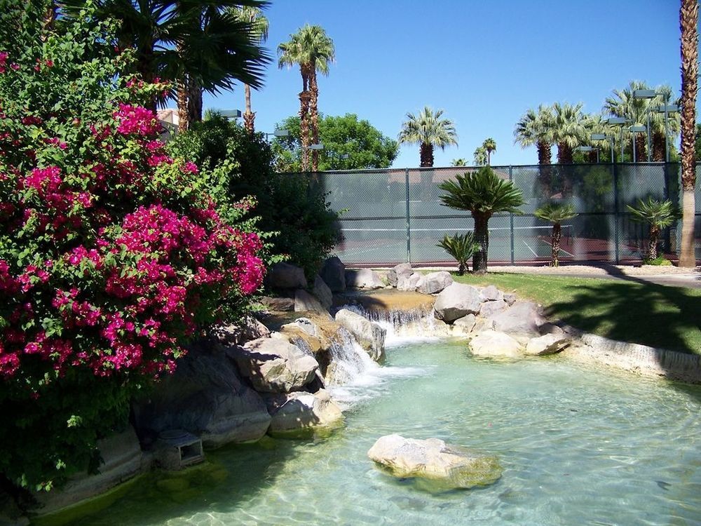 The Oasis Resort Palm Springs Facilități foto